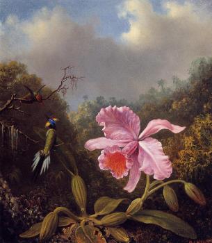 馬丁 約翰遜 赫德 Fighting Hummingbirds with Pink Orchid